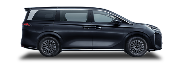 BYD M9